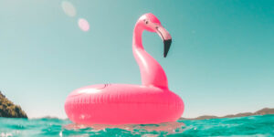 Pink flamingo on water