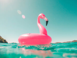 Pink flamingo on water